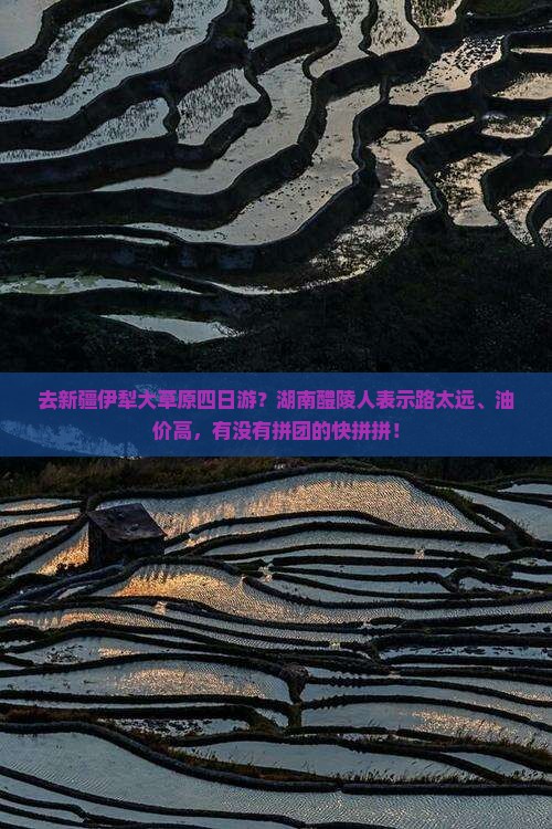 醴陵去新疆伊犁大草原四日游