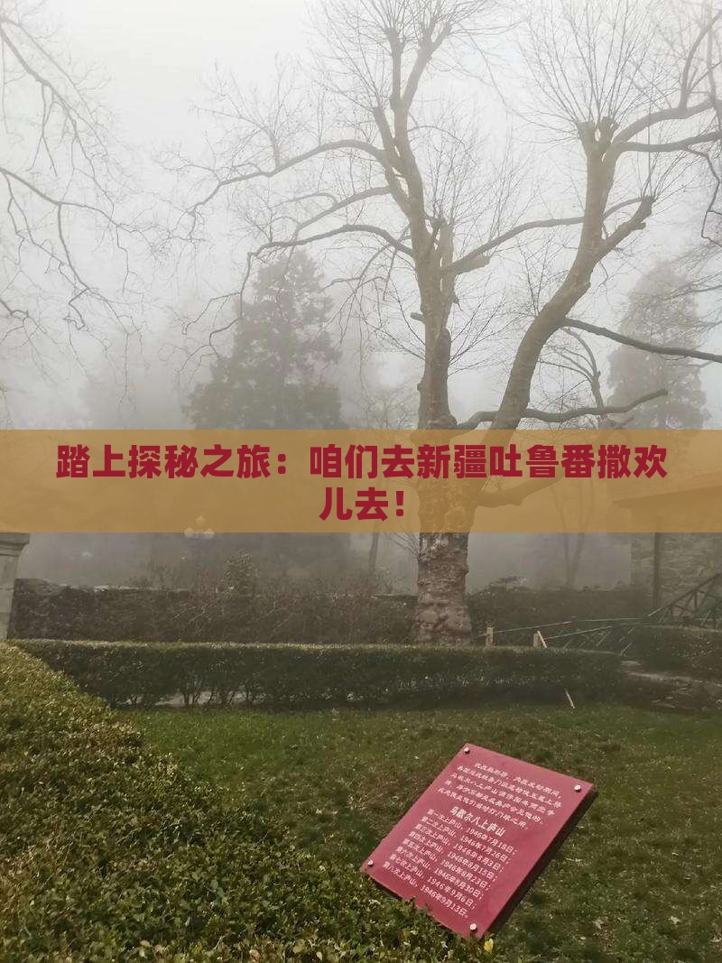 海西去新疆吐鲁番自由行