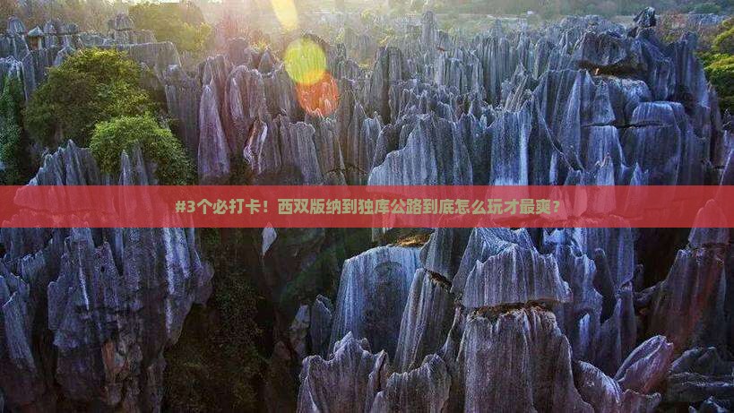 西双版纳到新疆独库公路哪里玩