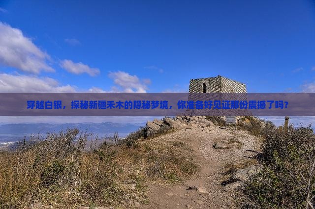 白银到新疆禾木旅游