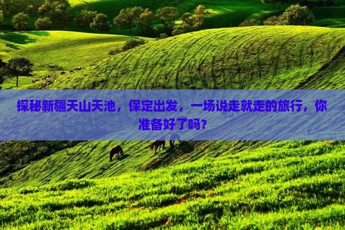 保定到新疆天山天池旅行社