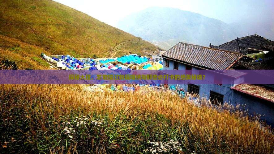 大理去新疆喀纳斯必去地