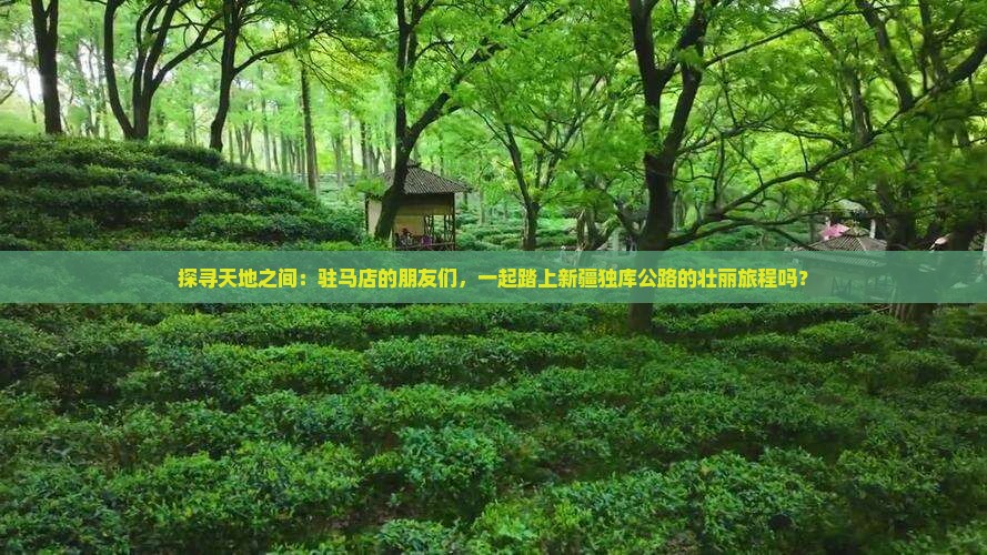 驻马店到新疆独库公路团体旅游
