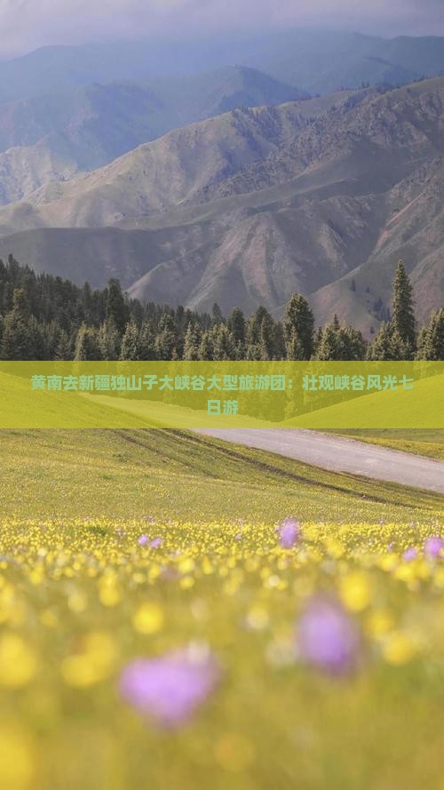 黄南去新疆独山子大峡谷大型旅游团
