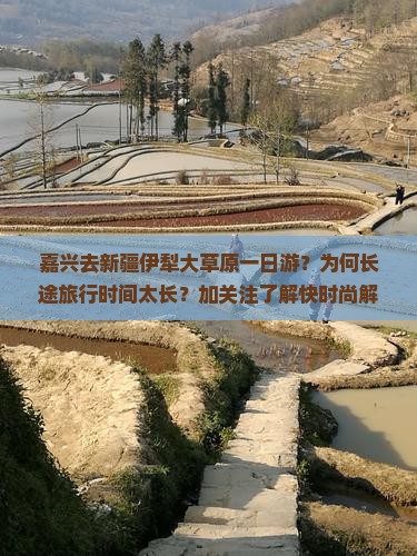 嘉兴去新疆伊犁大草原一日