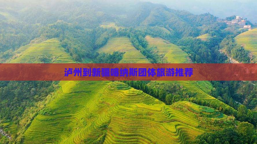 泸州去新疆喀纳斯团体旅游