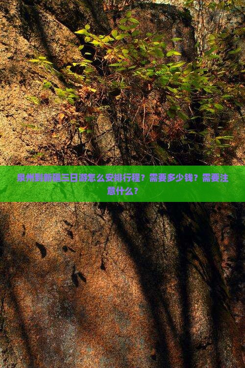 泉州到新疆三日游