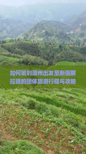 湖州去新疆那拉提团体旅游