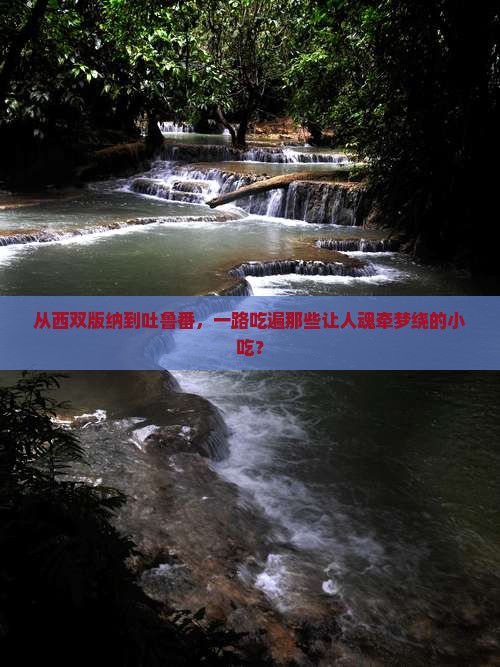 西双版纳到新疆吐鲁番旅游小吃