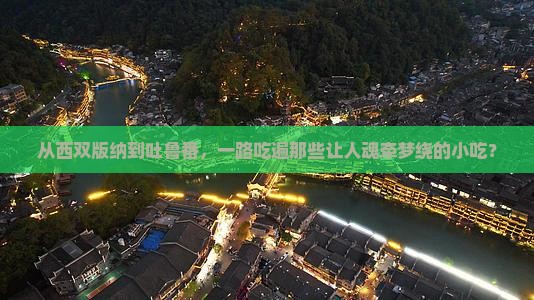 西双版纳到新疆吐鲁番旅游小吃