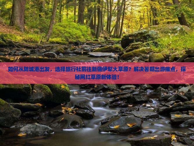 防城港去新疆伊犁大草原旅行社 防城港去新疆伊犁大草原旅行社