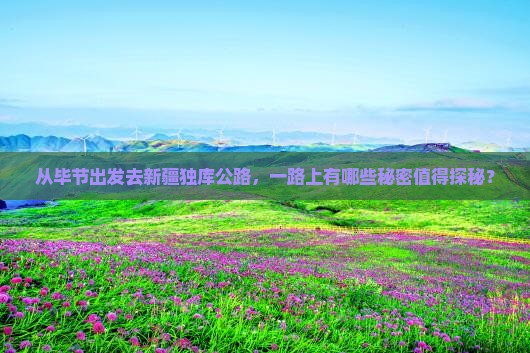 毕节到新疆独库公路哪里玩
