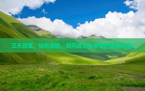 仙桃到新疆吐鲁番三日游