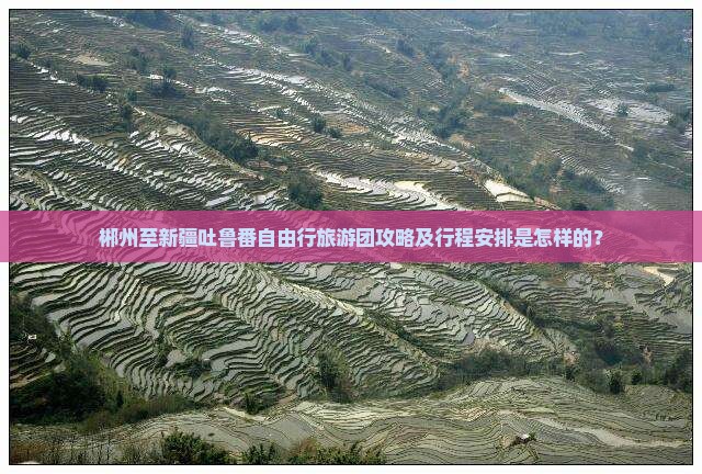 郴州到新疆吐鲁番自由团