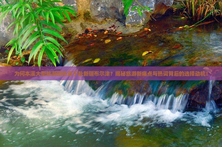 本溪去新疆布尔津大型旅游团