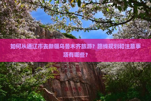 通辽市去新疆乌鲁木齐旅游