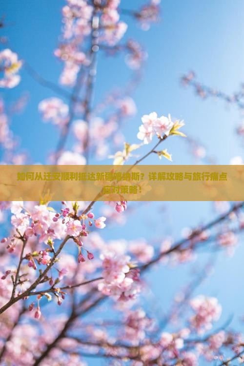 迁安去新疆喀纳斯攻略