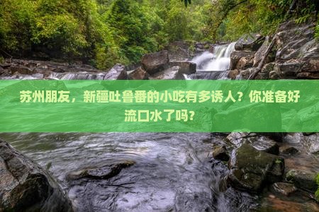 苏州到新疆吐鲁番旅游小吃