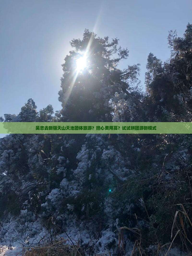吴忠去新疆天山天池团体旅游