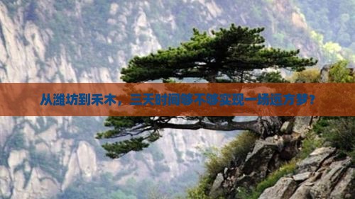 潍坊到新疆禾木三日游