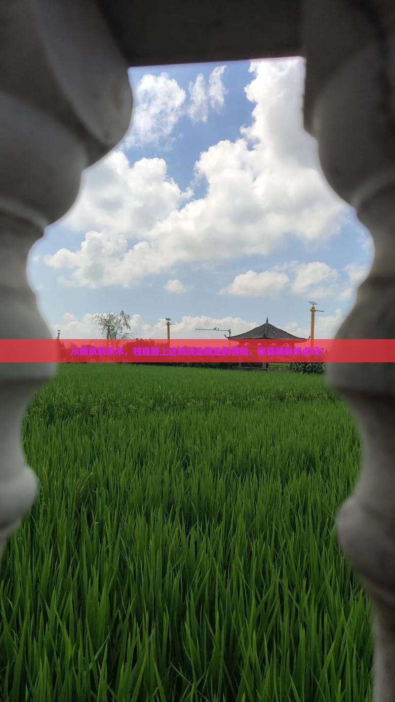 南京去新疆禾木个人游