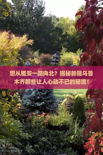 雅安到新疆乌鲁木齐景点