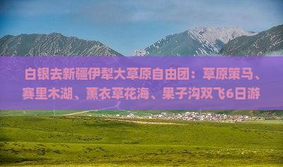 白银去新疆伊犁大草原自由团