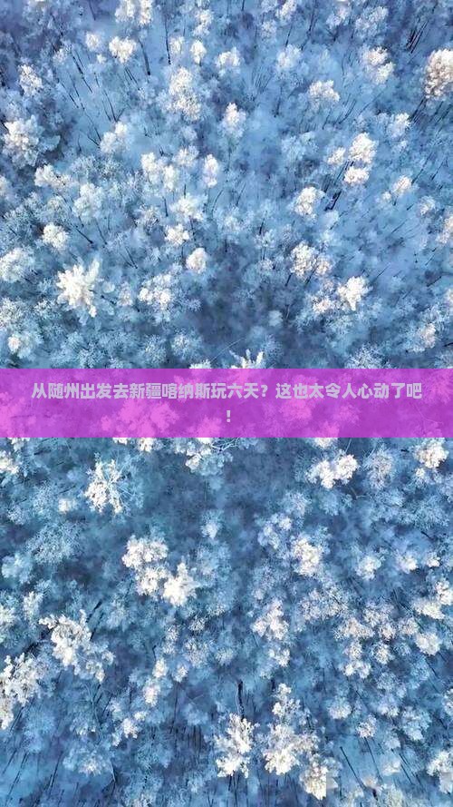 随州到新疆喀纳斯六日游