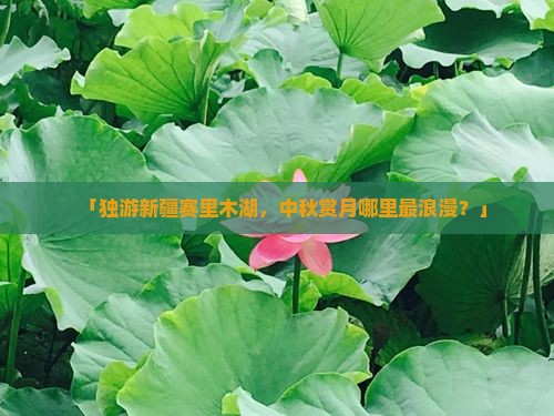 中秋节到新疆赛里木湖个人游