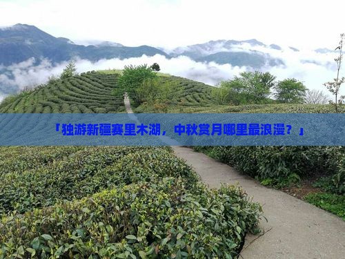 中秋节到新疆赛里木湖个人游