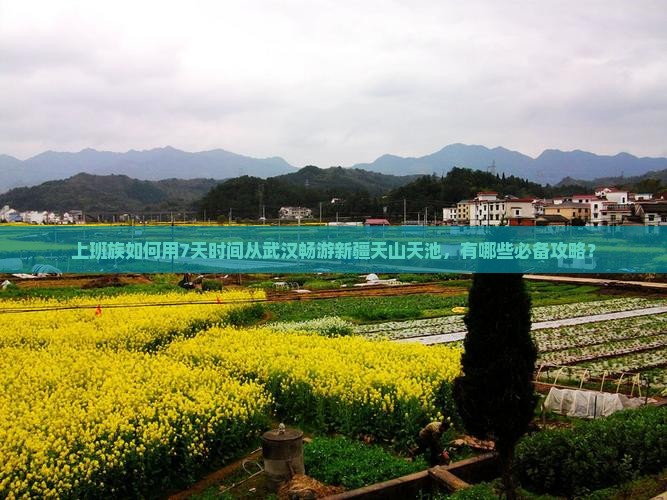 武汉去新疆天山天池个人游