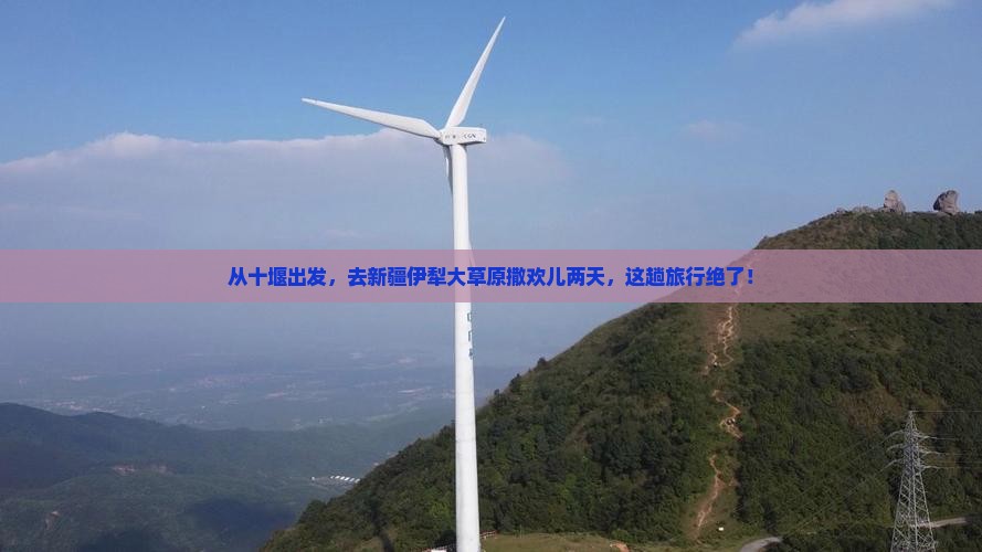 十堰到新疆伊犁大草原二日游