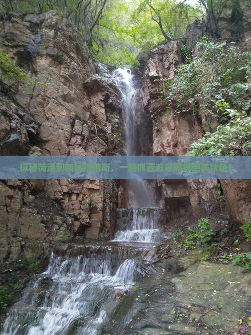 菏泽去新疆喀纳斯旅游