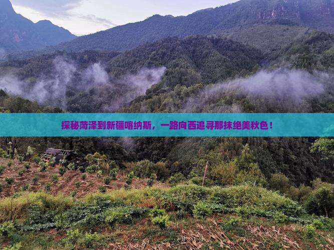 菏泽去新疆喀纳斯旅游