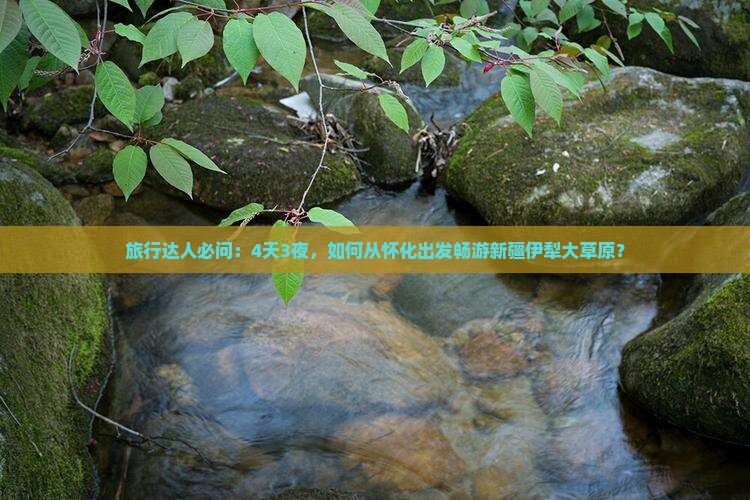 怀化到新疆伊犁大草原四日游