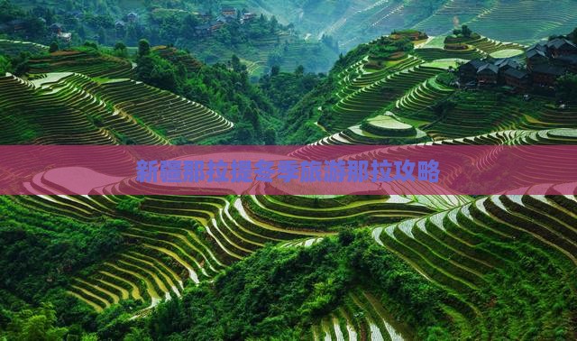 冬天到新疆那拉提自由团