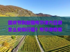 国庆节到新疆布尔津六日游