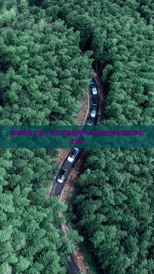 阿拉善盟到新疆独库公路旅游