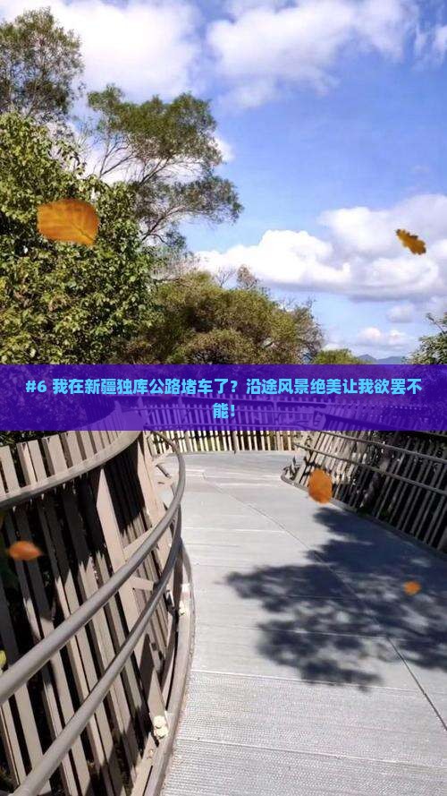 六月到新疆独库公路景点