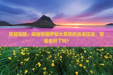 楚雄到新疆伊犁大草原自由团
