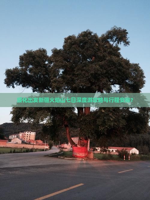 绥化到新疆火焰山七日游