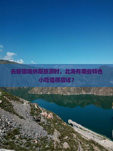 北海去新疆喀纳斯旅游小吃