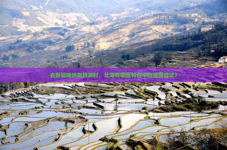 北海去新疆喀纳斯旅游小吃