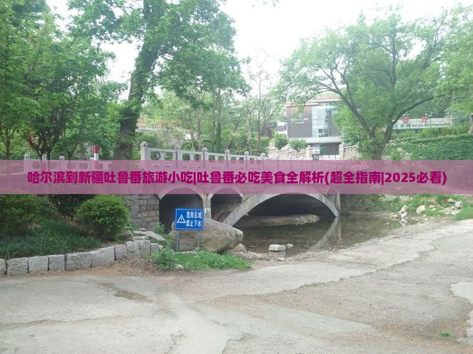 哈尔滨到新疆吐鲁番旅游小吃