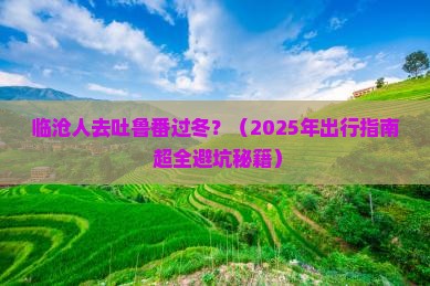 临沧去新疆吐鲁番一日
