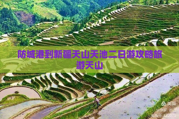 防城港到新疆天山天池二日游