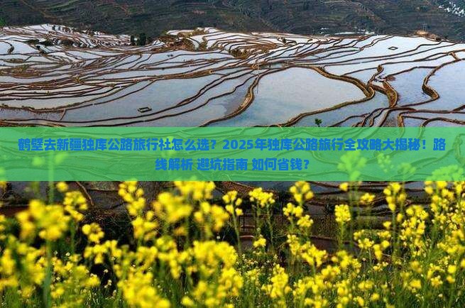 鹤壁去新疆独库公路旅行社
