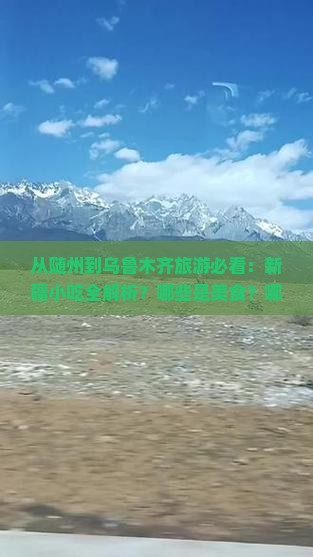 随州到新疆乌鲁木齐旅游小吃