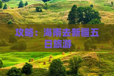 海南去新疆五日游