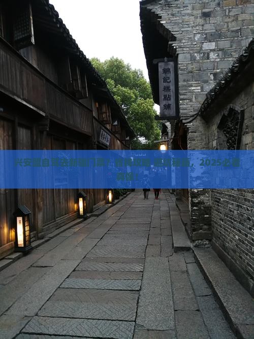 兴安盟去新疆门票